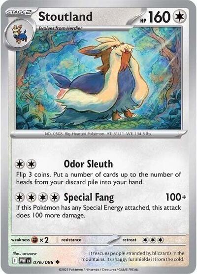 Stoutland (SV: White Flare) Near Mint - Nick Nack's Full Frontal Attack