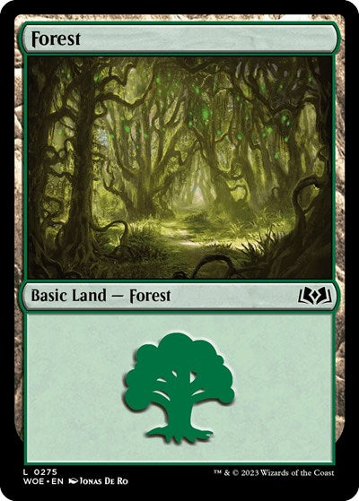 Forest (0275) (Wilds of Eldraine) Near Mint