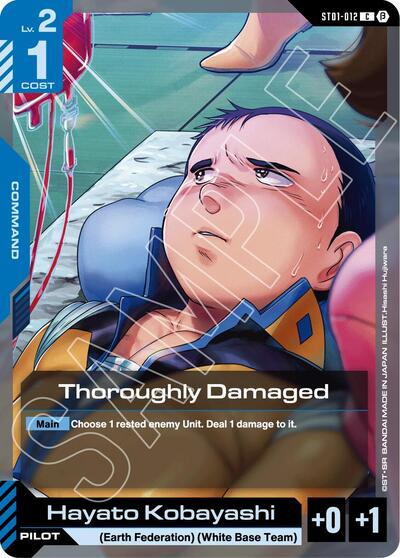 Thoroughly Damaged (Edition Beta) Near Mint - Nick Nack's Full Frontal Attack