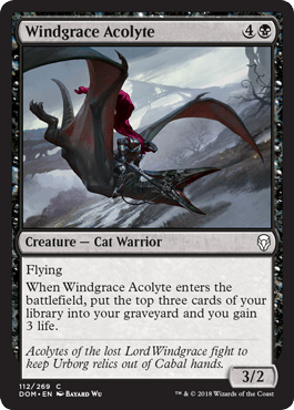 Windgrace Acolyte (Dominaria) Near Mint - Nick Nack's Full Frontal Attack