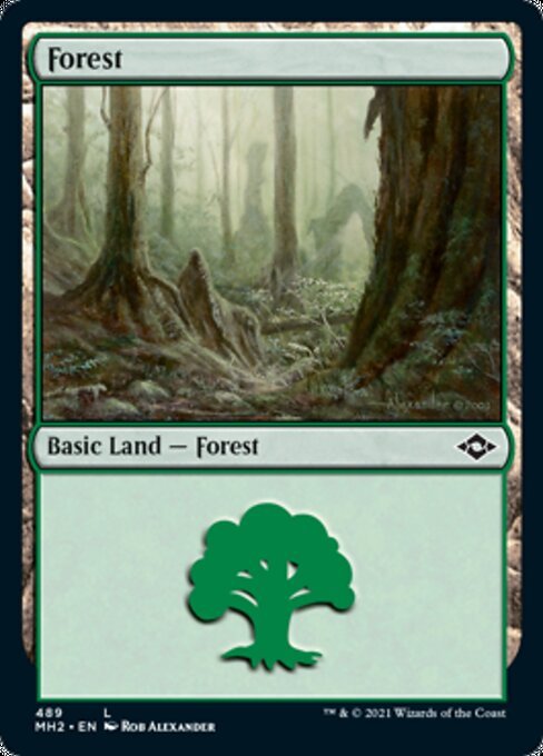 Forest (489) (Modern Horizons 2) Near Mint - Nick Nack's Full Frontal Attack