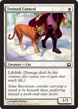Trained Caracal (Return to Ravnica) Near Mint - Nick Nack's Full Frontal Attack