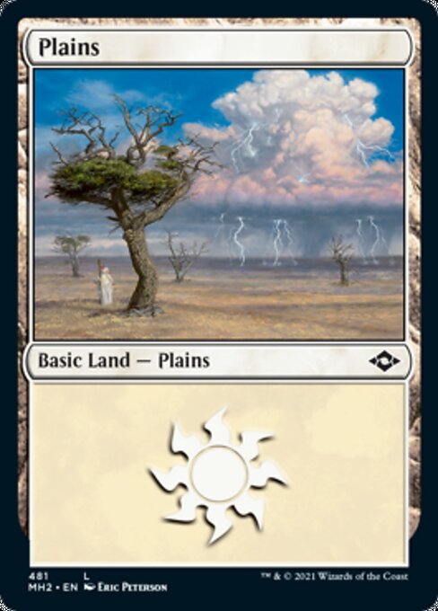 Plains (481) (Modern Horizons 2) Near Mint