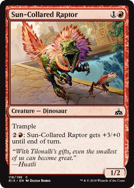 Sun - Collared Raptor (Rivals of Ixalan) Near Mint - Nick Nack's Full Frontal Attack