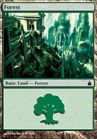 Forest (306) (Ravnica) Light Play Foil