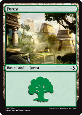 Forest (267) (Amonkhet) Near Mint
