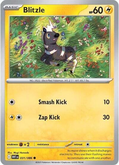 Blitzle (SV: White Flare) Near Mint - Nick Nack's Full Frontal Attack
