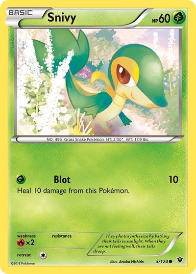 Snivy (XY - Fates Collide) Medium Play - Nick Nack's Full Frontal Attack