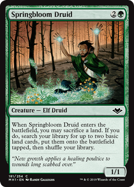 Springbloom Druid (Modern Horizons) Near Mint - Nick Nack's Full Frontal Attack