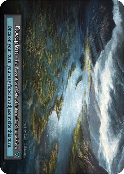 Floodplain (Alpha) Near Mint