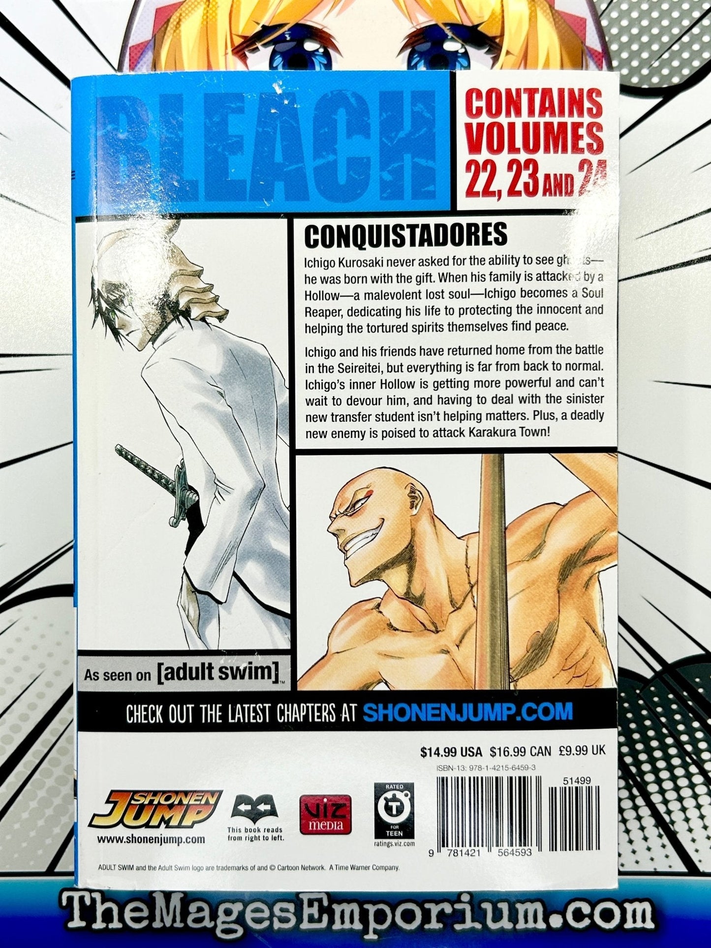Bleach Vol 22-24 Omnibus