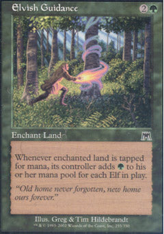 Elvish Guidance (Onslaught) Medium Play