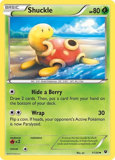 Shuckle (XY - Fates Collide) Light Play - Nick Nack's Full Frontal Attack