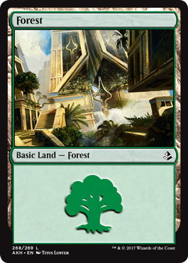 Forest (268) (Amonkhet) Near Mint