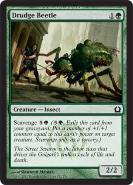 Drudge Beetle (Return to Ravnica) Near Mint - Nick Nack's Full Frontal Attack