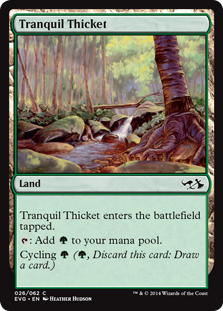 Tranquil Thicket (Duel Decks Anthology: Elves vs Goblins) Near Mint