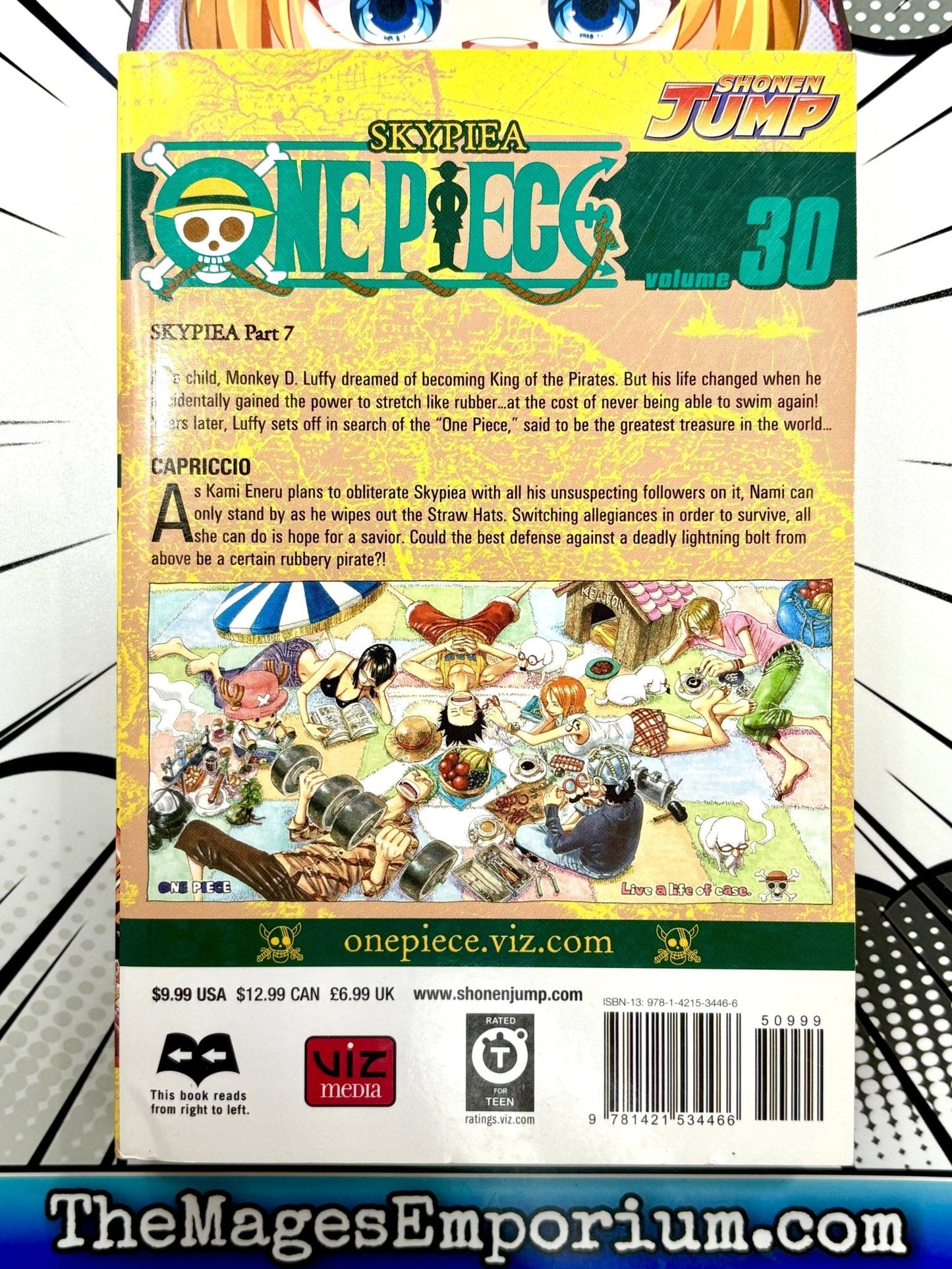 One Piece Vol 30