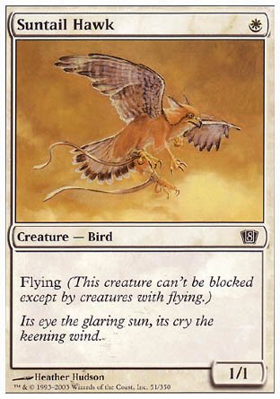 Suntail Hawk (8th Edition) Near Mint - Nick Nack's Full Frontal Attack