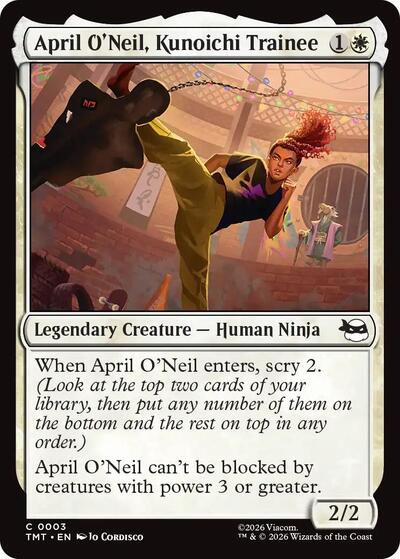 April O'Neil, Kunoichi Trainee (Teenage Mutant Ninja Turtles) Near Mint Foil - Nick Nack's Full Frontal Attack
