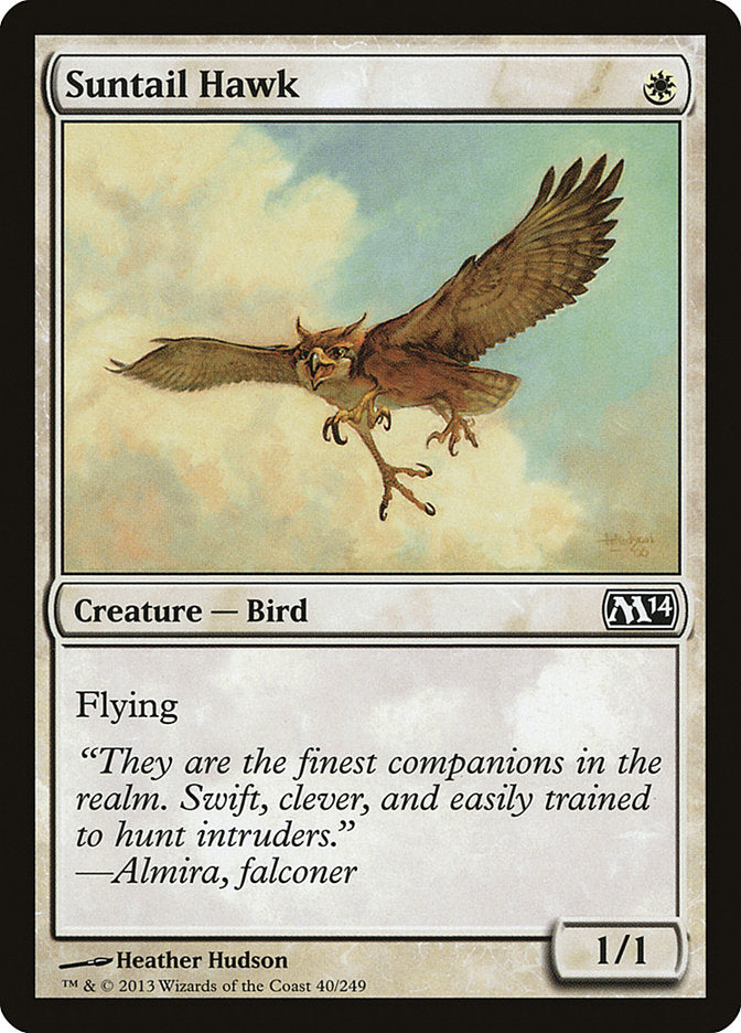 Suntail Hawk (8th Edition)
