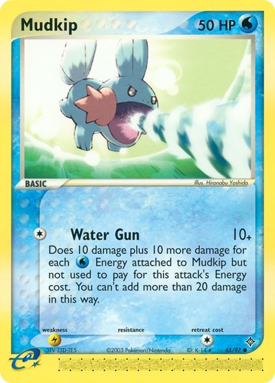 Mudkip (Dragon) Damaged / Poor