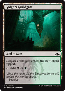 Golgari Guildgate (248) (Guilds of Ravnica) Near Mint - Nick Nack's Full Frontal Attack
