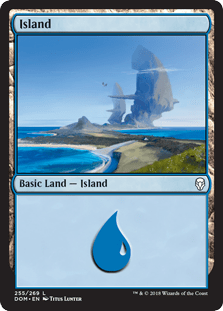 Island (255) (Dominaria) Near Mint - Nick Nack's Full Frontal Attack