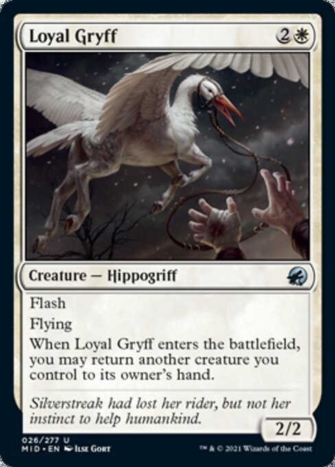 Loyal Gryff (Innistrad: Midnight Hunt) Near Mint - Nick Nack's Full Frontal Attack