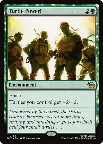 Turtle Power! (Teenage Mutant Ninja Turtles) Near Mint