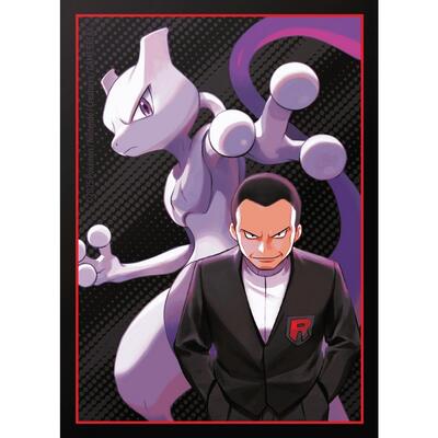Pokemon TCG: Destined Rivals Elite Trainer Box Card Sleeves Eevee (65 Pack)