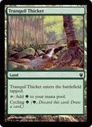 Tranquil Thicket (Duel Decks: Izzet vs Golgari) Near Mint