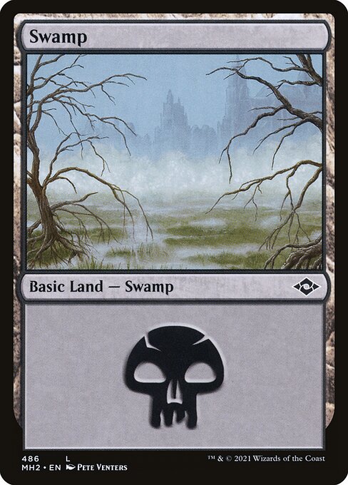 Swamp (486) (Foil Etched) (Modern Horizons 2) Near Mint Foil