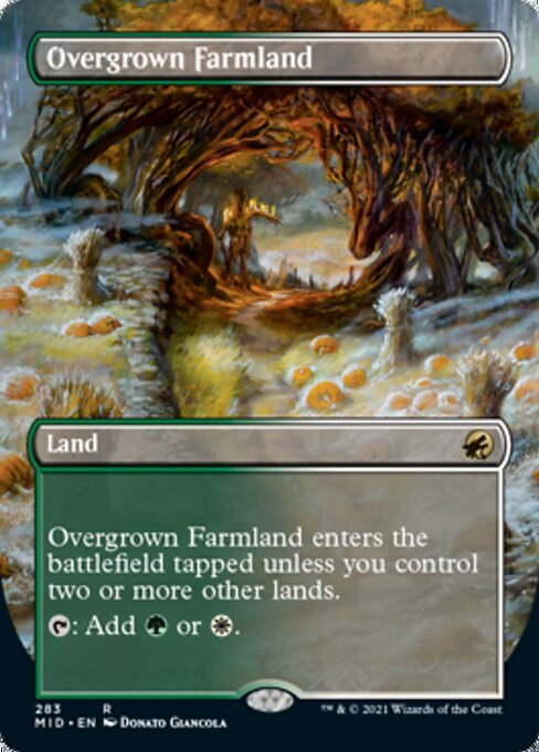 Overgrown Farmland (Borderless) (Innistrad: Midnight Hunt) Near Mint Foil