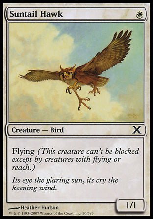Suntail Hawk (10th Edition) Light Play - Nick Nack's Full Frontal Attack