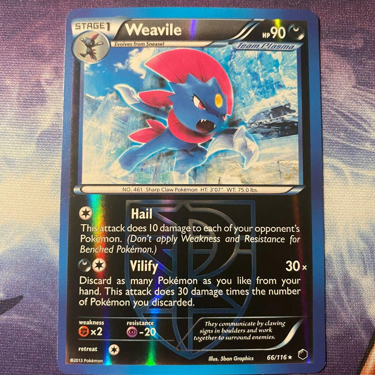 Weavile (Team Plasma)