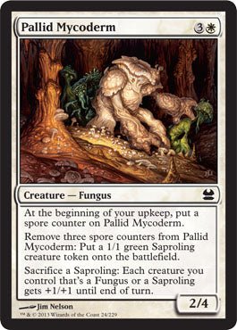 Pallid Mycoderm (Modern Masters) Near Mint - Nick Nack's Full Frontal Attack