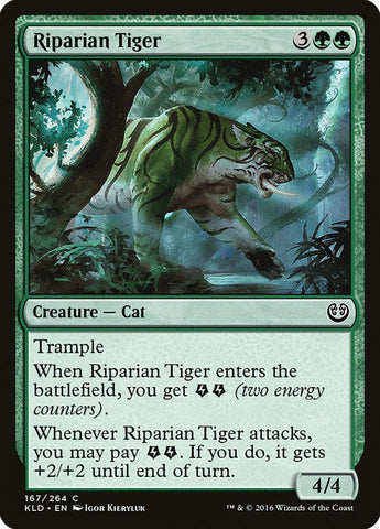 Tigre riverain [Kaladesh] 