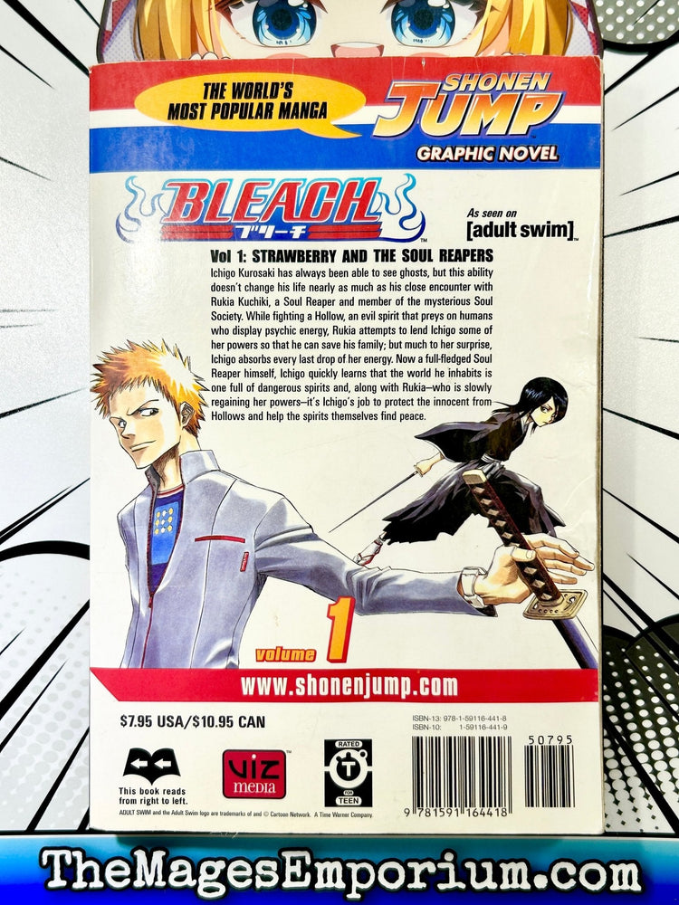 Bleach Vol 1