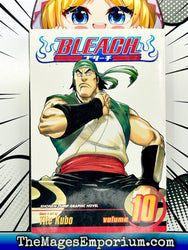 Bleach Vol 10