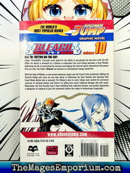 Bleach Vol 10