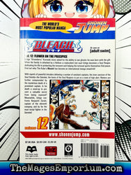 Bleach Vol 12