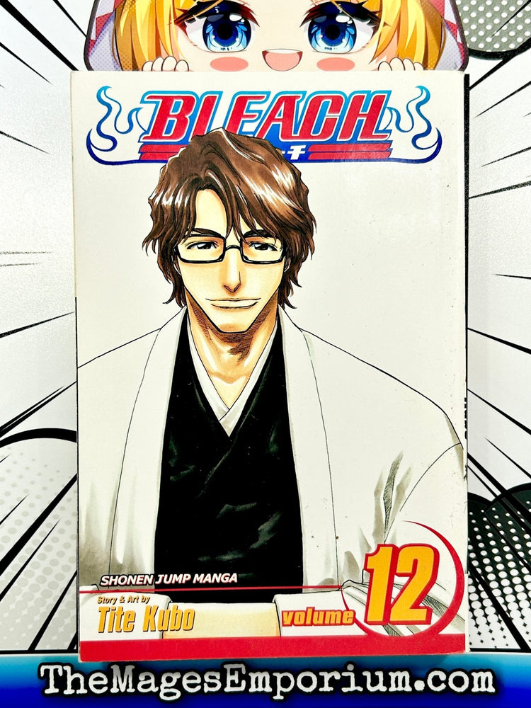 Bleach Vol 12