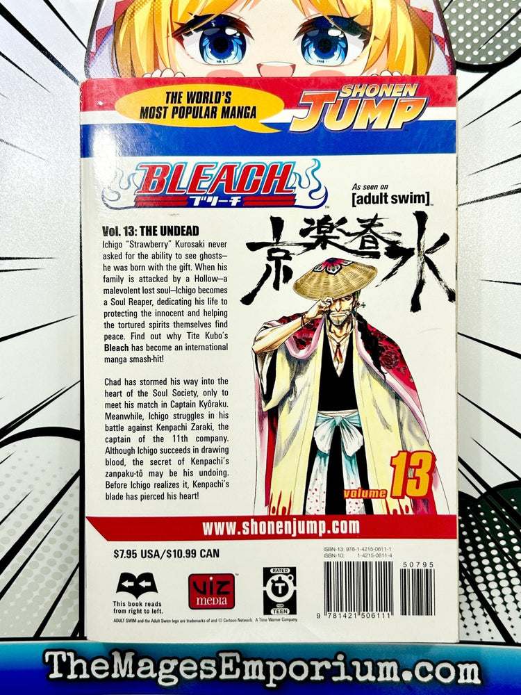 Bleach Vol 13