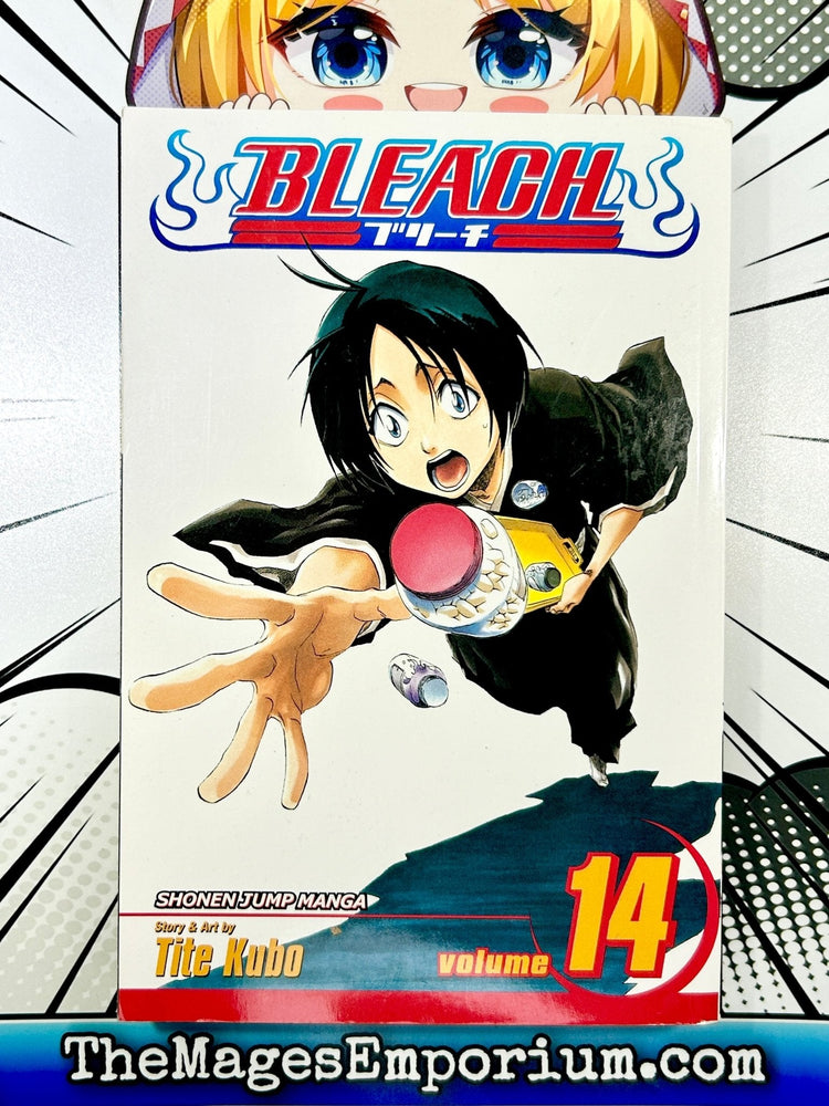 Bleach Vol 14