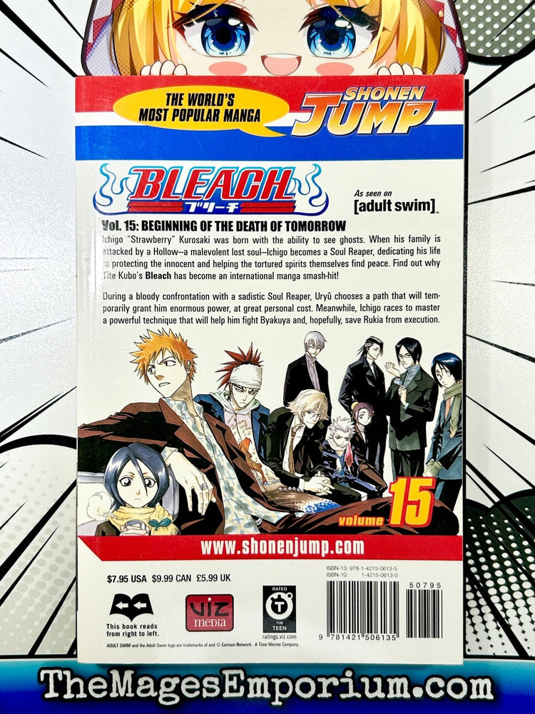 Bleach Vol 15