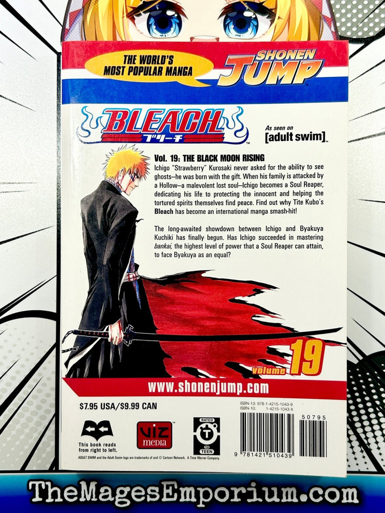 Bleach Vol 19