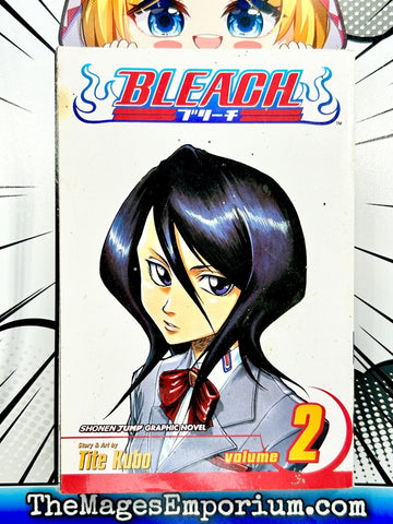 Bleach Vol 2