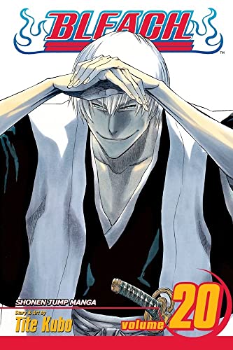 Bleach Vol 20