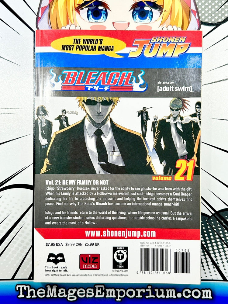 Bleach Vol 21