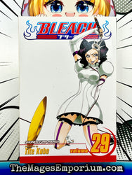 Bleach Vol 29